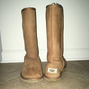 Classic Tall Chestnut Uggs